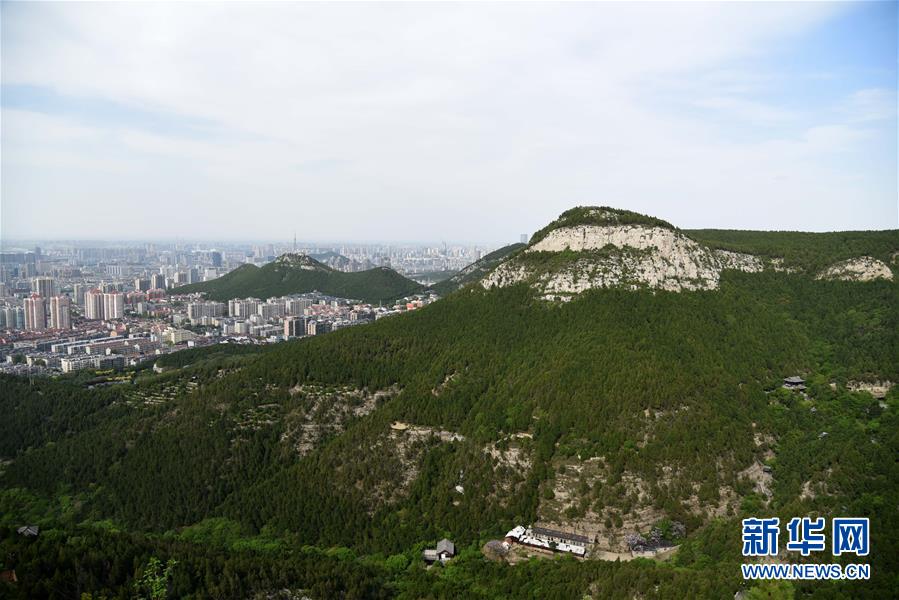 济南:佛慧山春意浓 (4)