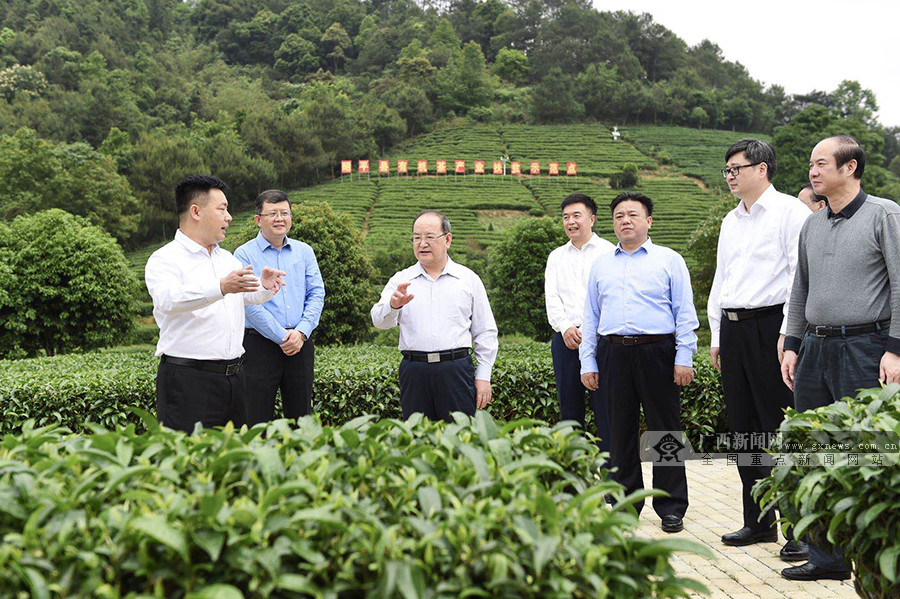鹿心社深入梧州贺州两市调研
