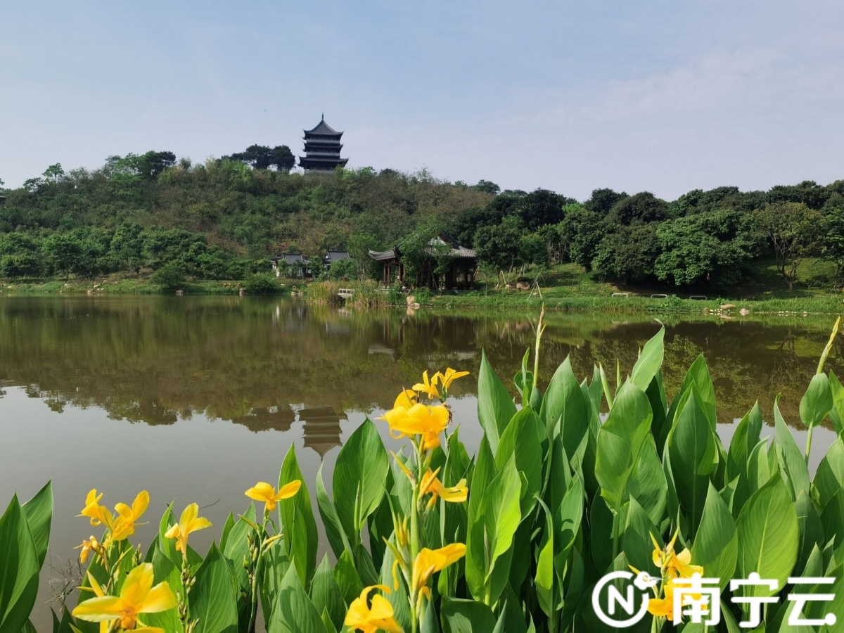南宁植物园在青秀山风景区揭牌 将建成"国际知名,国内一流,独具特色"
