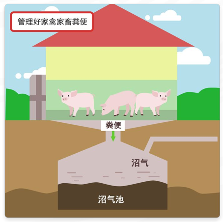 健康素养66条【45】使用卫生厕所 做好粪便管理