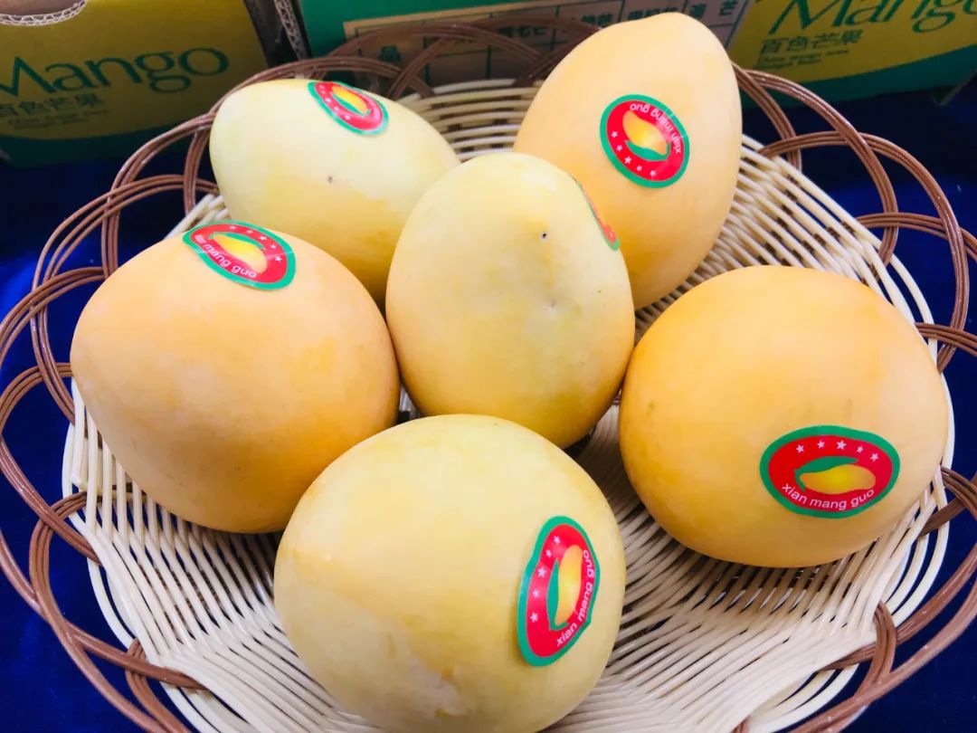 吃货们准备好了吗?6月1日,百色芒果开始上市啦 (3)
