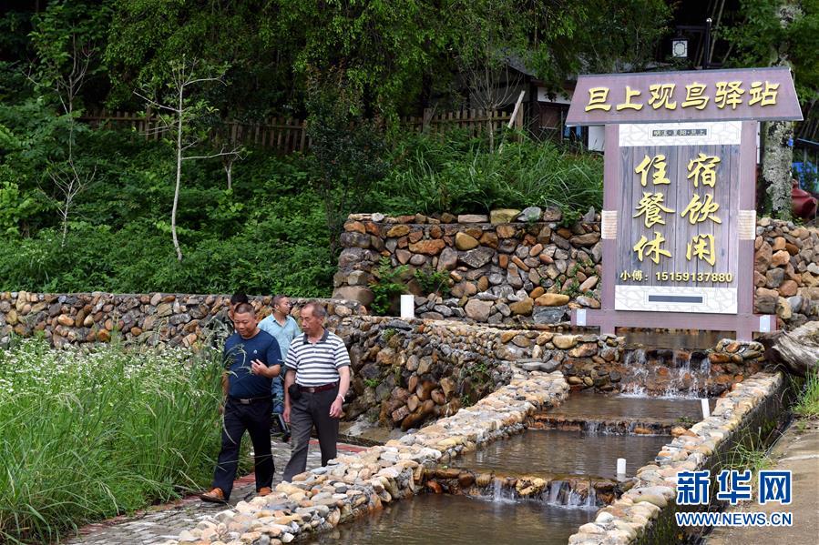 6日6日,福建省明溪县夏阳乡旦上村村民从村观鸟驿站旁走过.