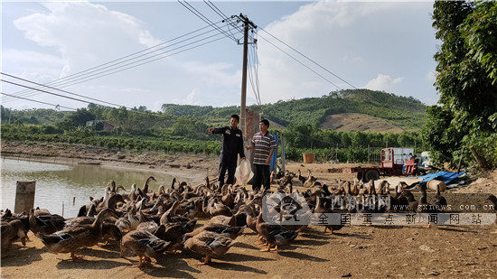 杨云飞空壳村的扶贫引路人