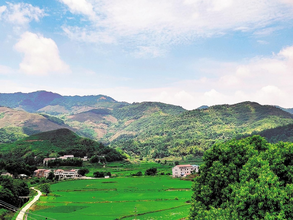 【走向我们的小康生活】医圣故里,"绿富美"款款而来