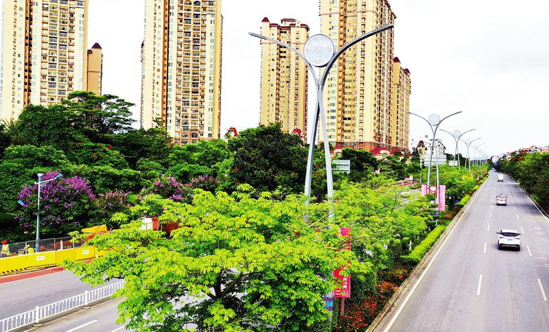 武鸣区全力投入"美丽县城(城镇)"创建工作