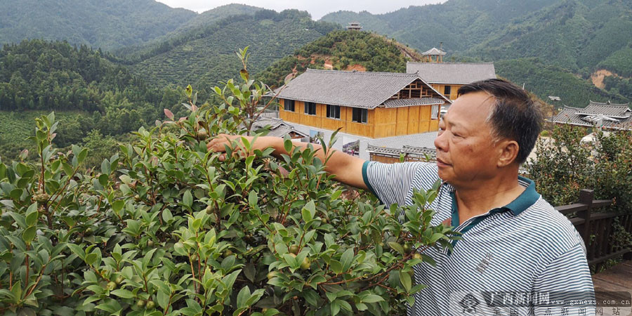 三江山茶油