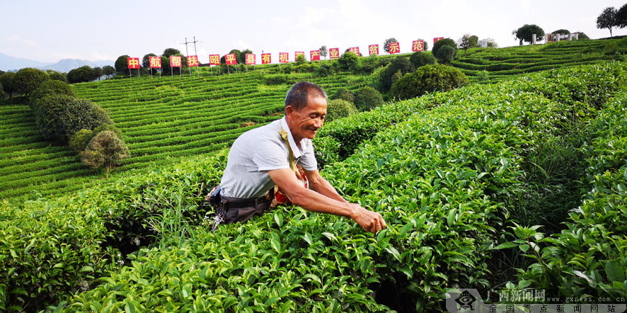 解难题搭平台 央企帮扶昭平县江口村摆脱贫困