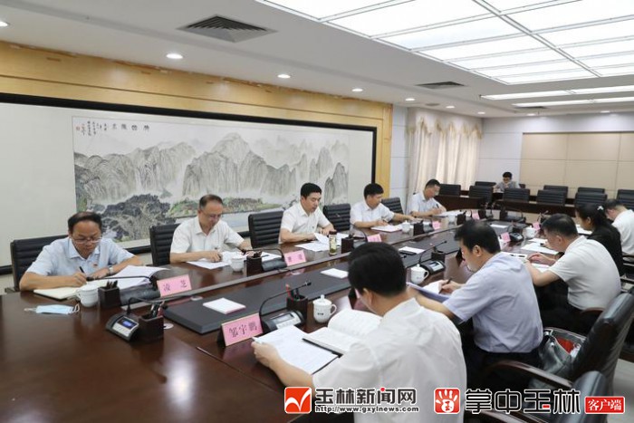 玉林市政府党组班子召开李庄浩严重违纪违法典型案件以案促改以案示警