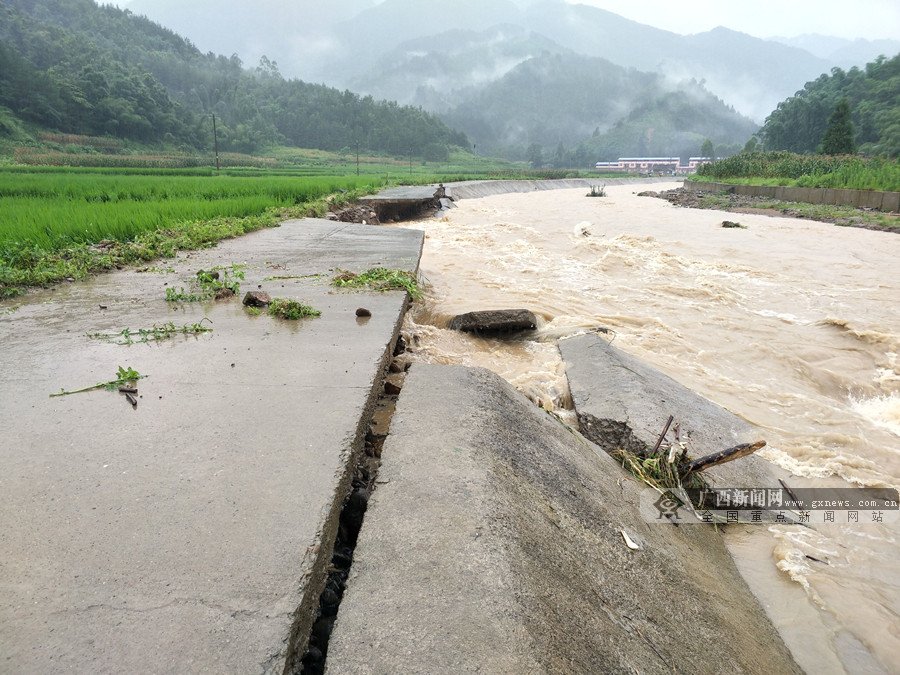 持续的强降雨导致环江龙岩乡道路被洪水淹没.环江融媒体中心供图