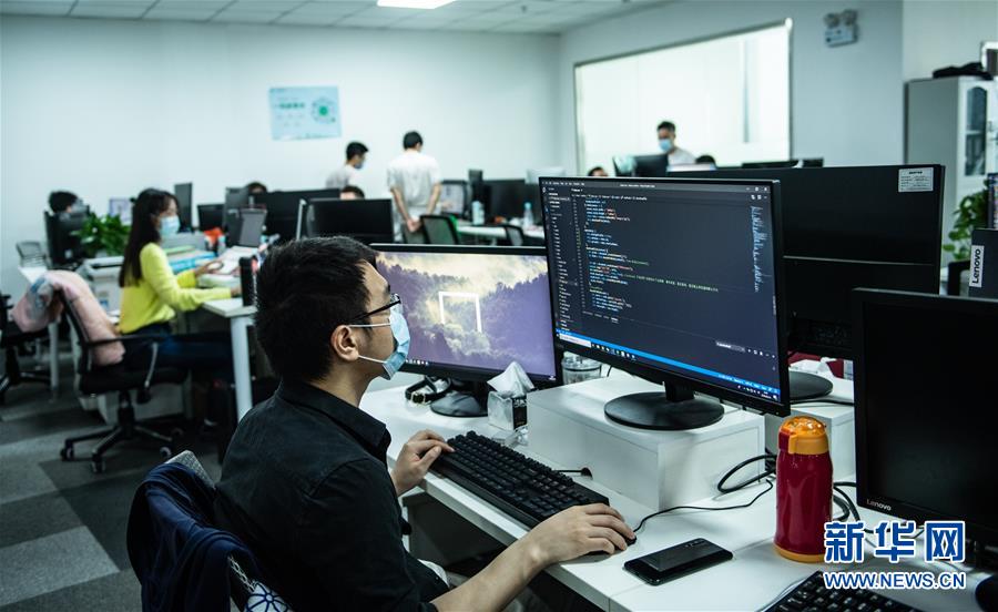 云景文旅科技有限公司的软件工程师们在工作(6月14日摄).