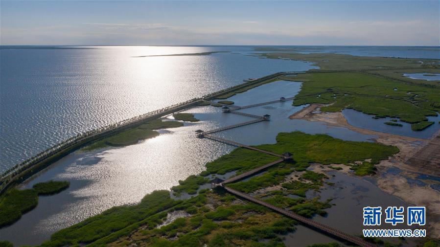 这是查干湖湿地(7月20日摄,无人机照片). 新华社记者 张楠 摄