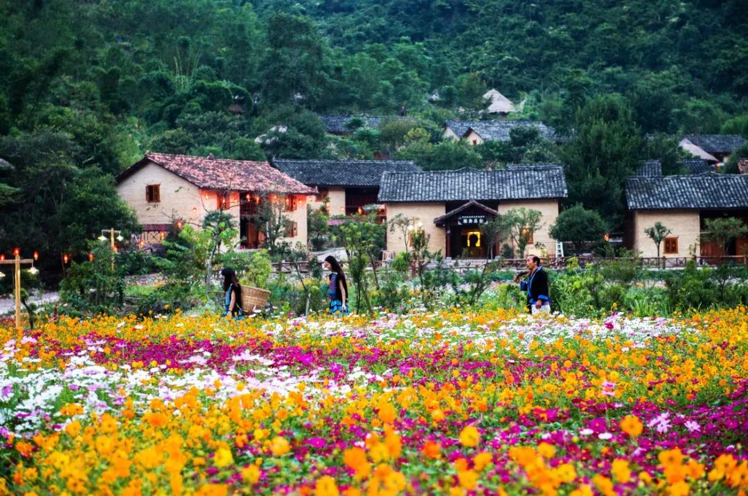 夏游广西四大避暑旅游胜地南丹