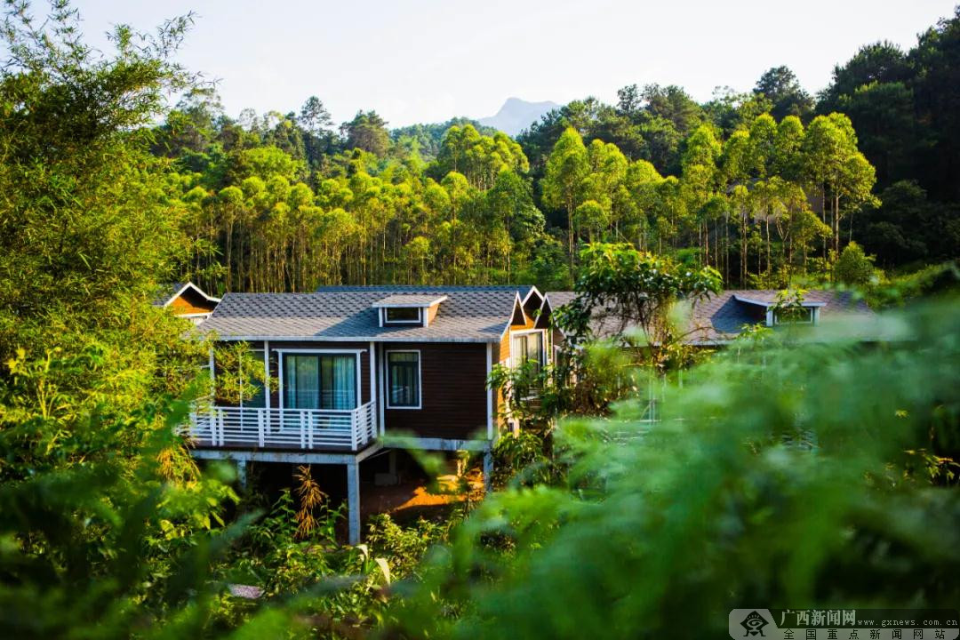 �й�����ƽ��ɽȪ�׽캽���Ļ����νڼ�������