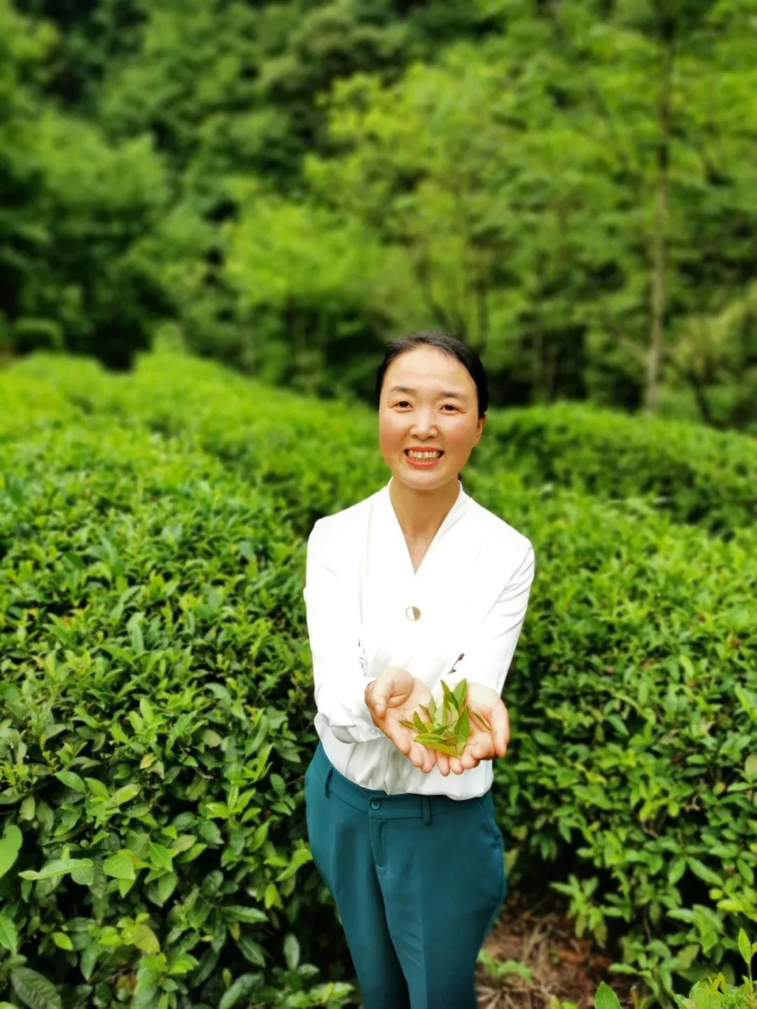 甘肃省陇南市徽县陇上庄园网店负责人梁倩娟