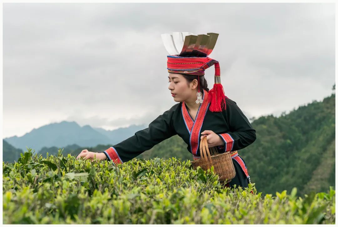 广西瑶族姐妹花:从瑶山中来,到瑶山中去