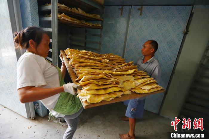 江西铜鼓:漫山竹笋有人识 笋干铺就"致富路" (4)