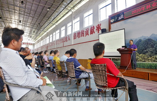 图为专家在向参训人员传授油茶种植技术.广西新闻网通讯员 韦睿 摄