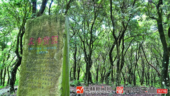 廣東廉江市的謝鞋山風景區,率先走進玉林,向玉林的遊客發放超值福利