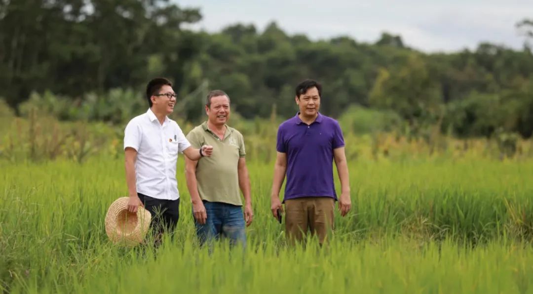 有了之前的基础,黄海军的同事,如今的岭门村第一书记曹文超有了