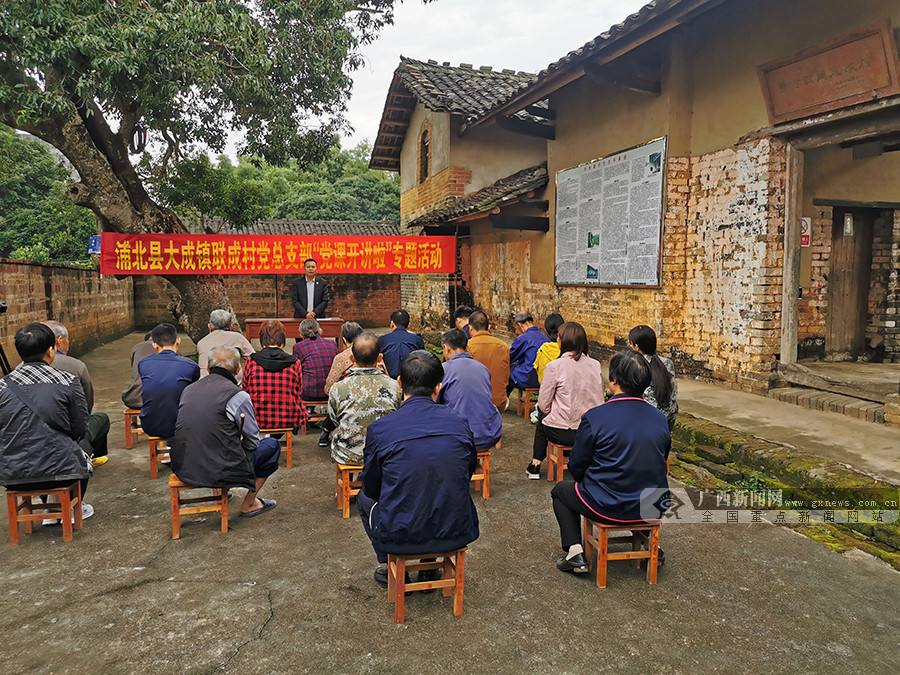 浦北县大成镇联成村开展党课开讲啦专题活动33