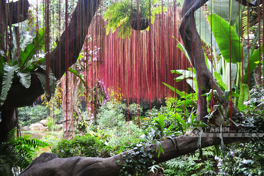 高清图集:烟雾缭绕!南宁这个生态园林宛如仙境