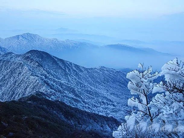 桂林猫儿山迎来今年首场雾凇!广西冷空气加持