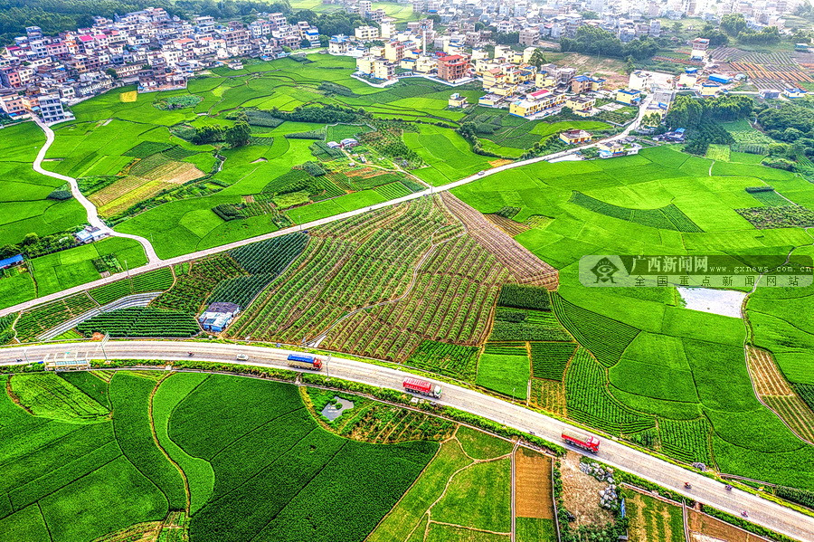 贵港市港北区港城街道龙井村获评为全国文明村镇-广西新闻图集