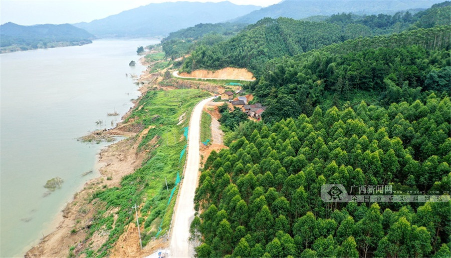 武宣县三里镇下江村新迁改的供电线路沿着新路架设.