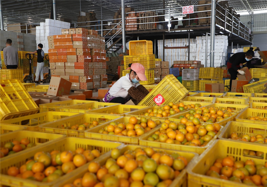 90后小伙在拼多多原产地直发水果一年销售额破亿