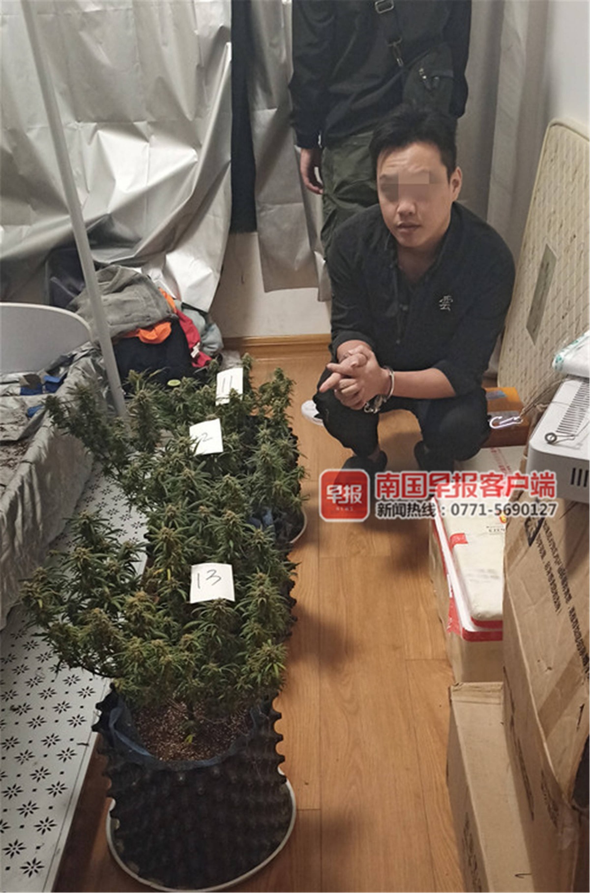 南宁两男子在卧室种大麻,自己吸食不完还卖给他人