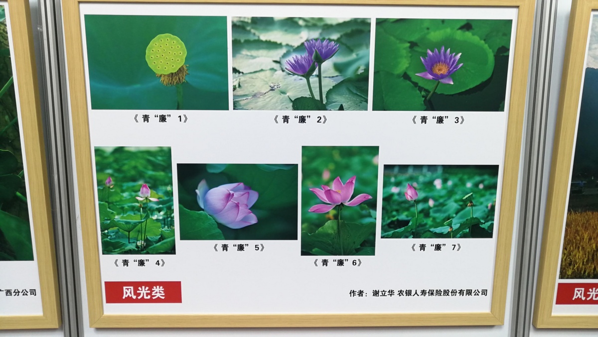 农银人寿广西分公司作品入围清廉金融文化作品展