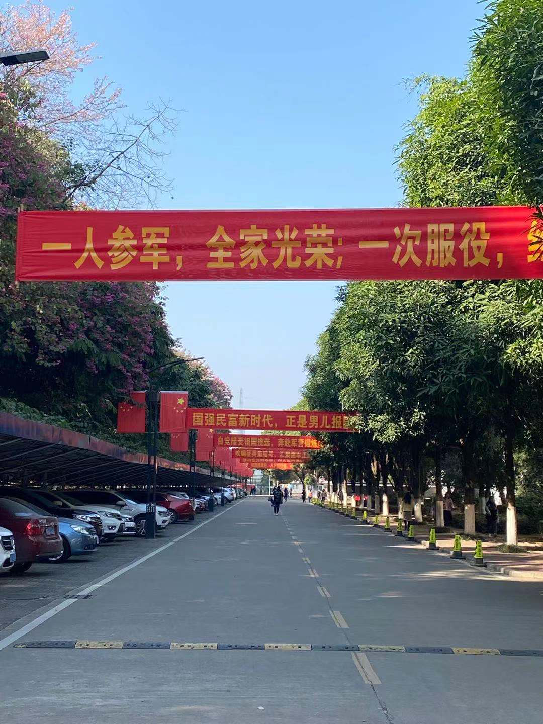 征兵季丨政府高校齐发力征兵宣传沁人心