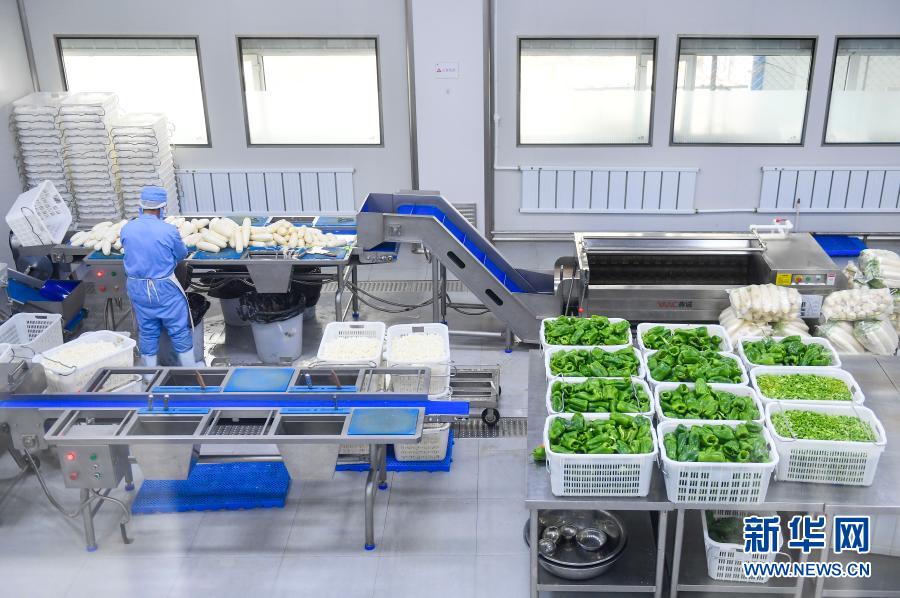 工作人员在车间内进行蔬菜粗加工(1月21日摄).