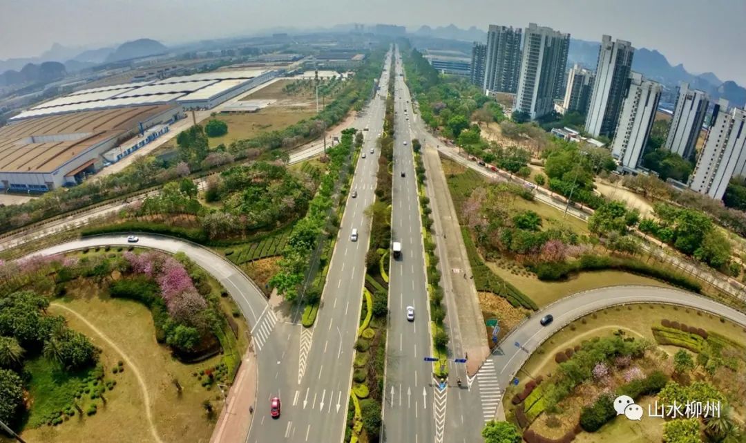 柳州市鱼峰区古亭大道图片