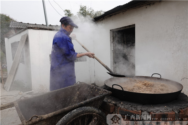 临桂泗林村:品甘蔗美酒,与春色同醉