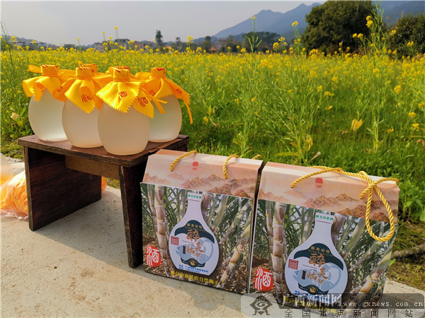 临桂泗林村:品甘蔗美酒,与春色同醉