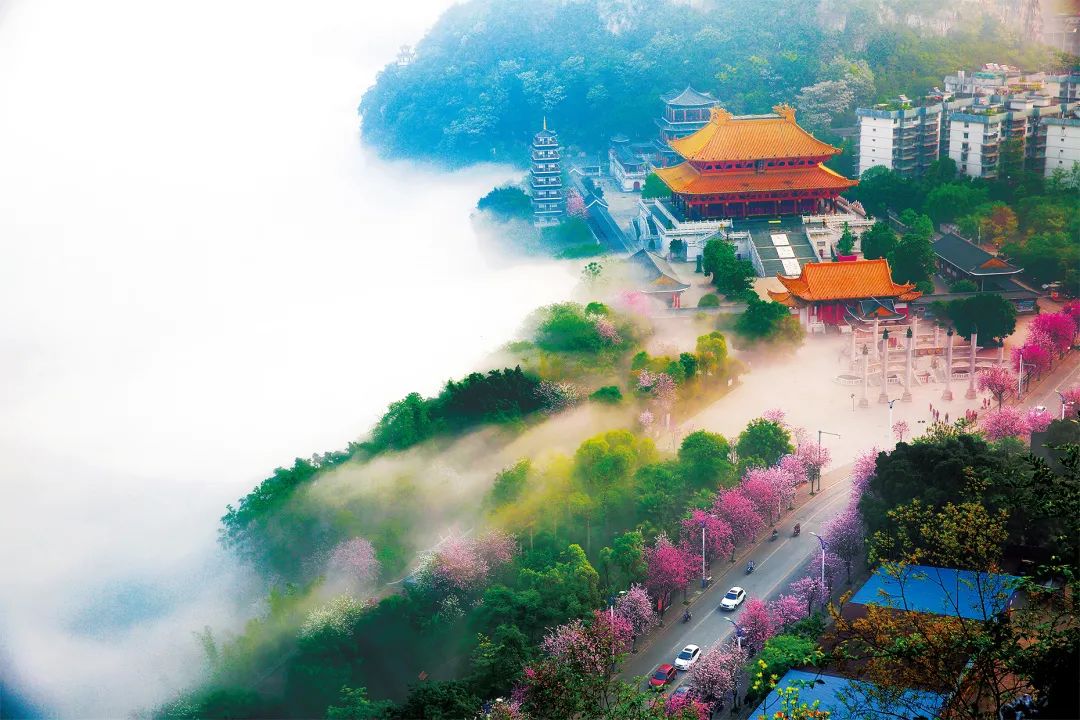 这是属于柳州的色彩盛宴