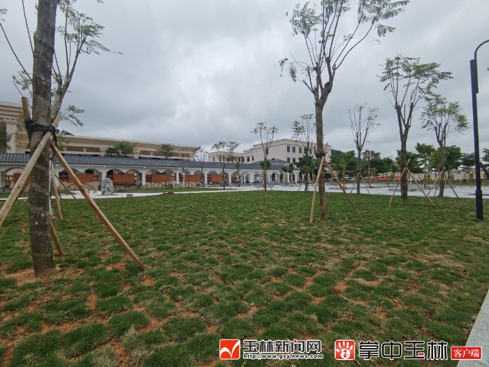 玉林市殡仪馆:学史力行重实践 暖心服务暖群众