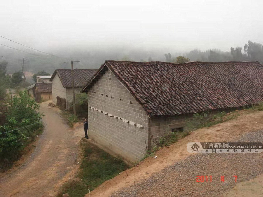 韦荣劲 摄乙圩乡巴追村那强屯新颜.韦荣劲 摄乙圩乡巴追村新颜.