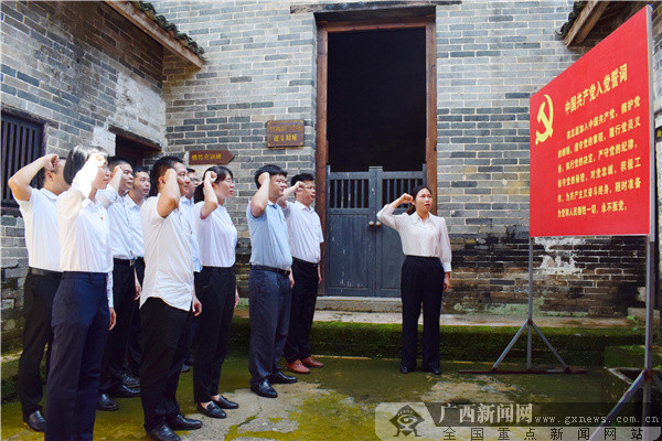 灵山县丰塘镇开展学党史践初心主题学习实践