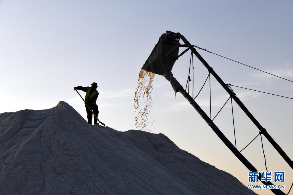 的60万亩盐田已进入春盐收获的繁忙时节,预计今年春季收盐到6月底结束