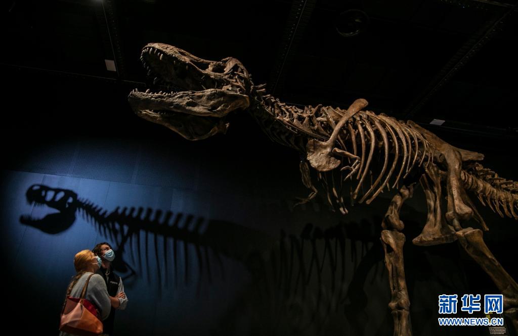 5月18日,观众在位于悉尼的澳大利亚博物馆参观.