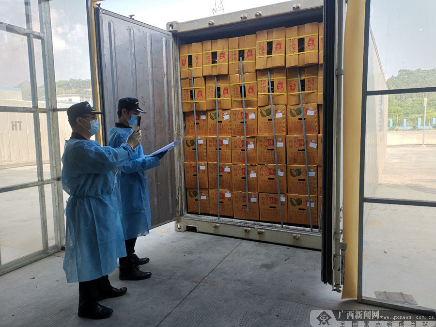 凭祥海关关员在核对进口冷链集装箱号.赖婧 供图