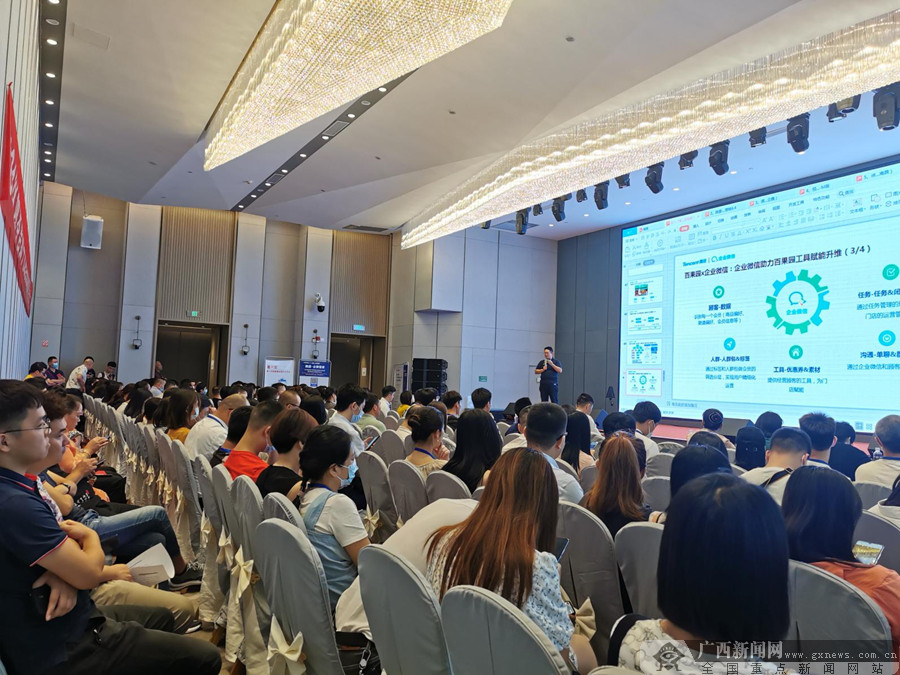 广西品牌协会开展数字化运营实战培训