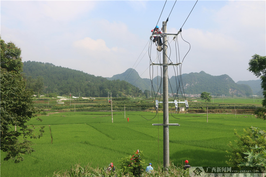 天等供电局:加快电网改造 为乡村振兴赋能
