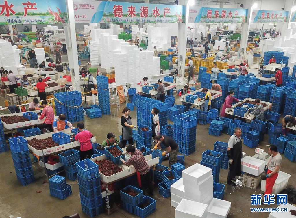 湖北潜江:小龙虾 大产业