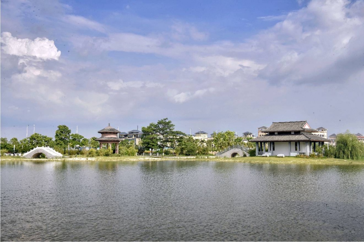 广西合浦县:绘就文旅新画卷,豪情满怀迎盛会 (2)