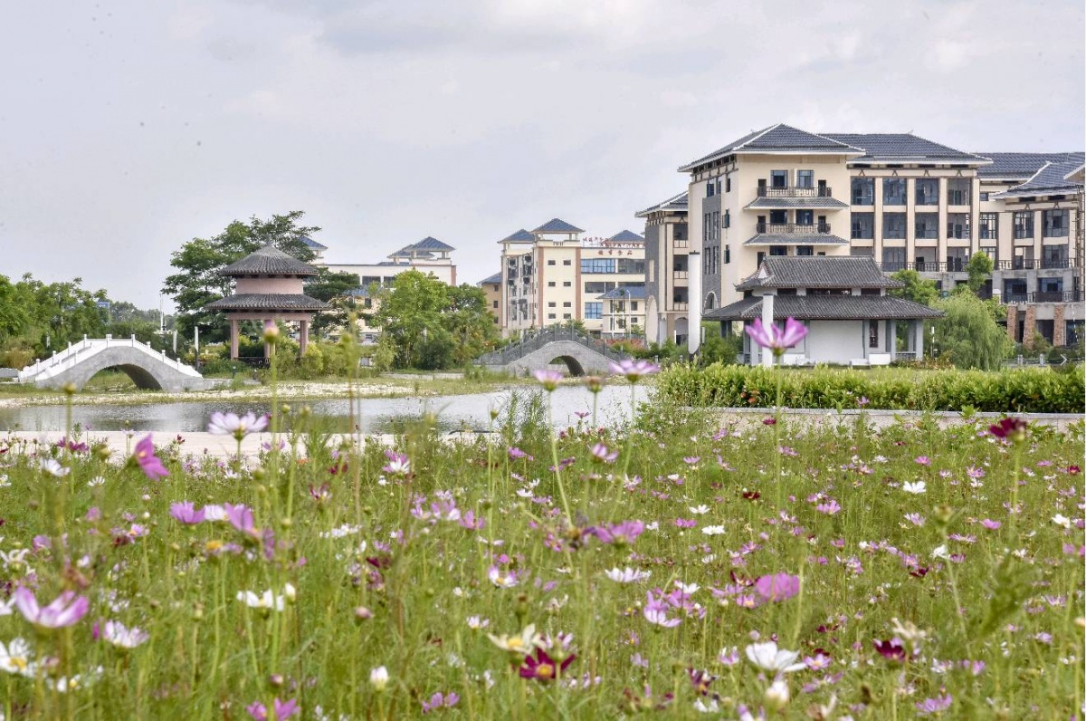 广西合浦县:绘就文旅新画卷,豪情满怀迎盛会