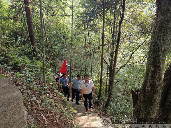 桂林永福县苏桥镇图片