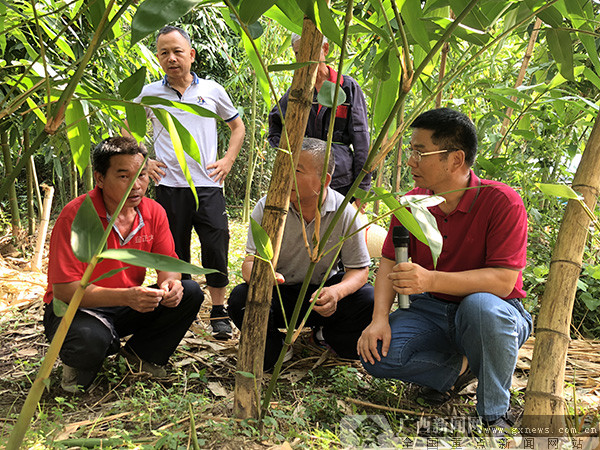 永福县:党群共建聚合力 乡村振兴正当时